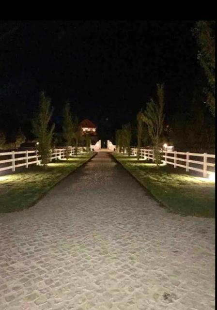 Casa Pitta Charm Villa Santarém エクステリア 写真