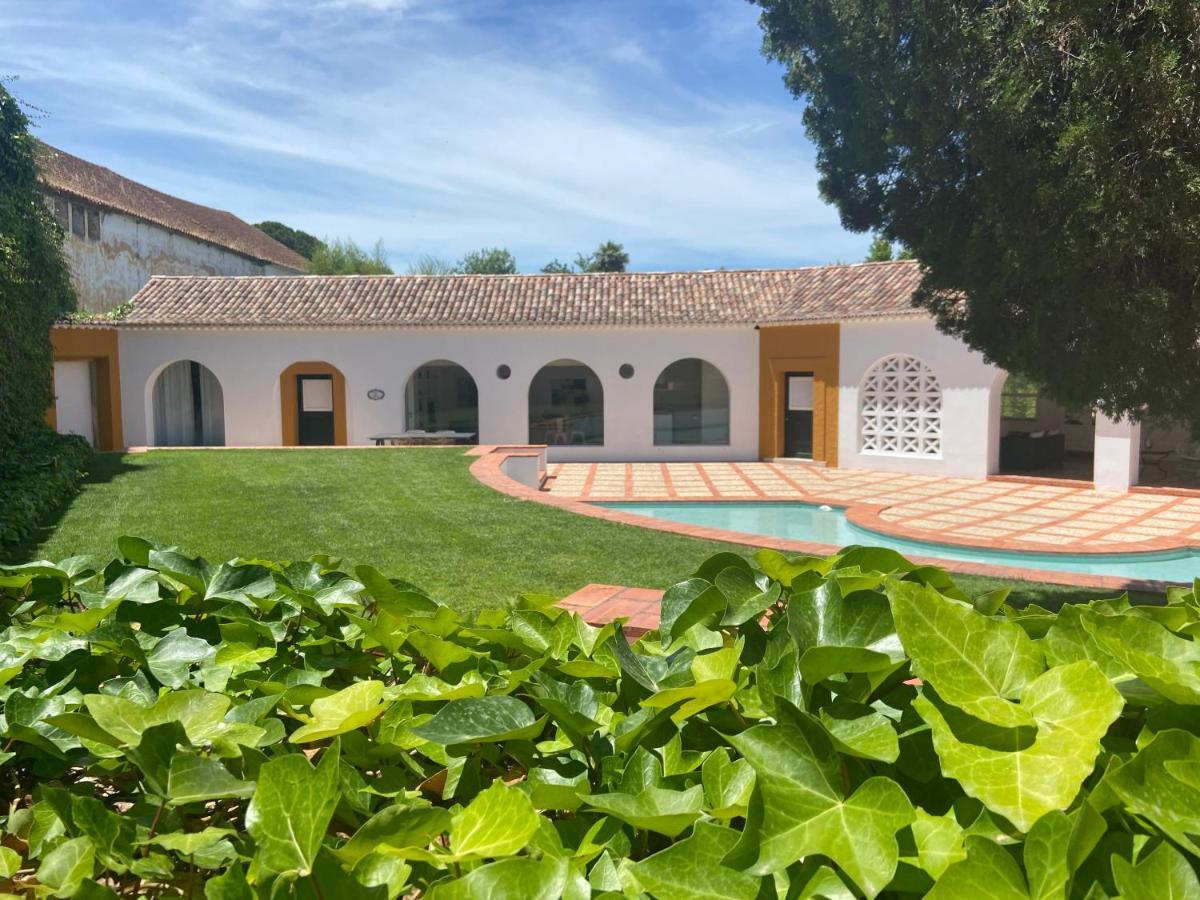 Casa Pitta Charm Villa Santarém エクステリア 写真
