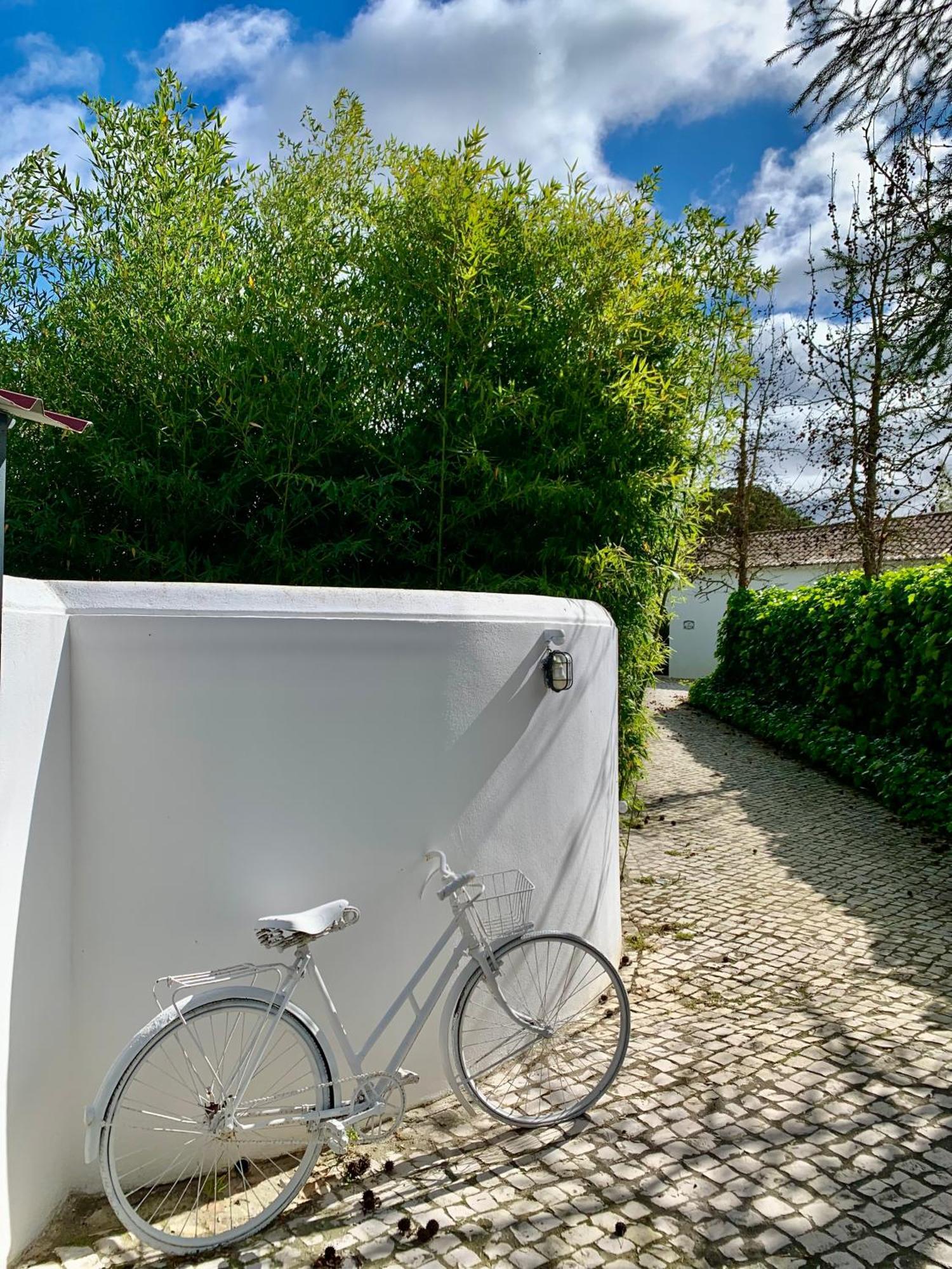Casa Pitta Charm Villa Santarém エクステリア 写真